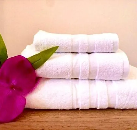 דירה La Maison De Gioel אולביה